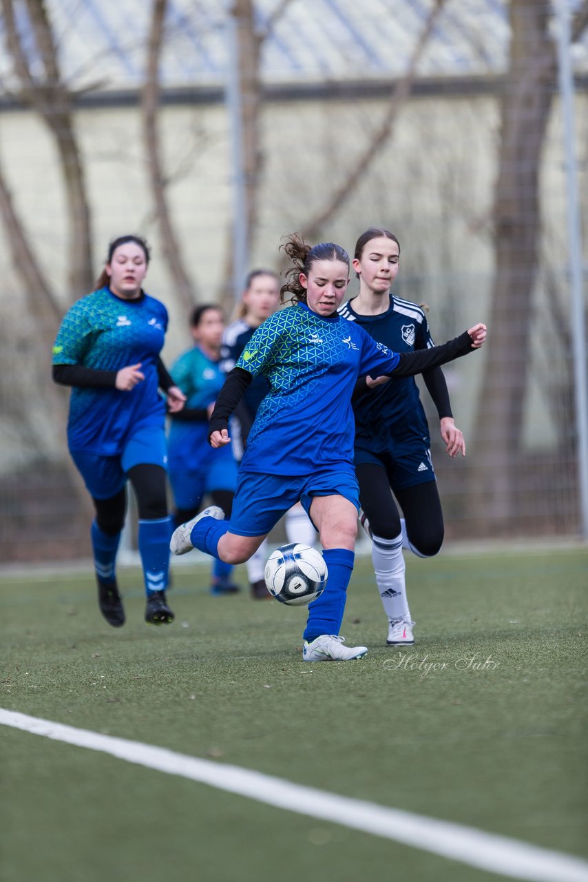 Bild 95 - wCJ Alstertal-Langenhorn - Ellerau : Ergebnis: 3:1